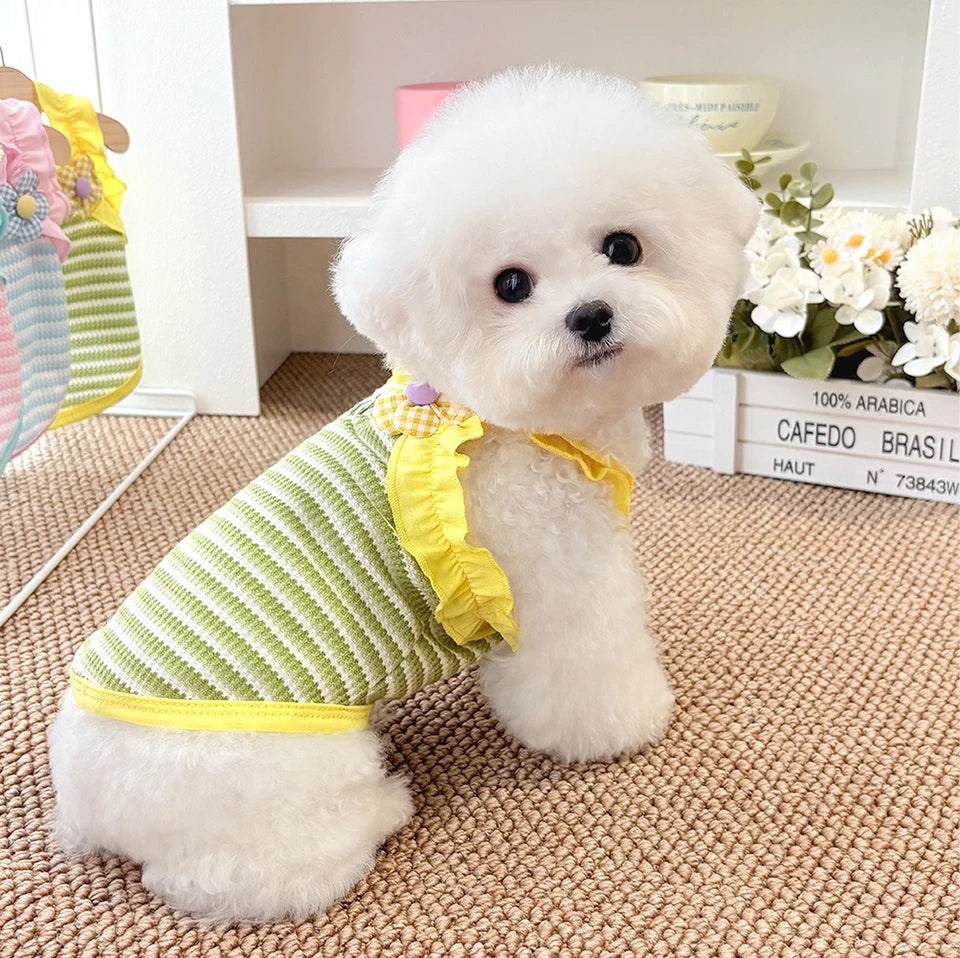 Ein flauschiger weißer Hund mit gelbem Rüschen-Sommerweste sitzt auf einem beige Teppich.