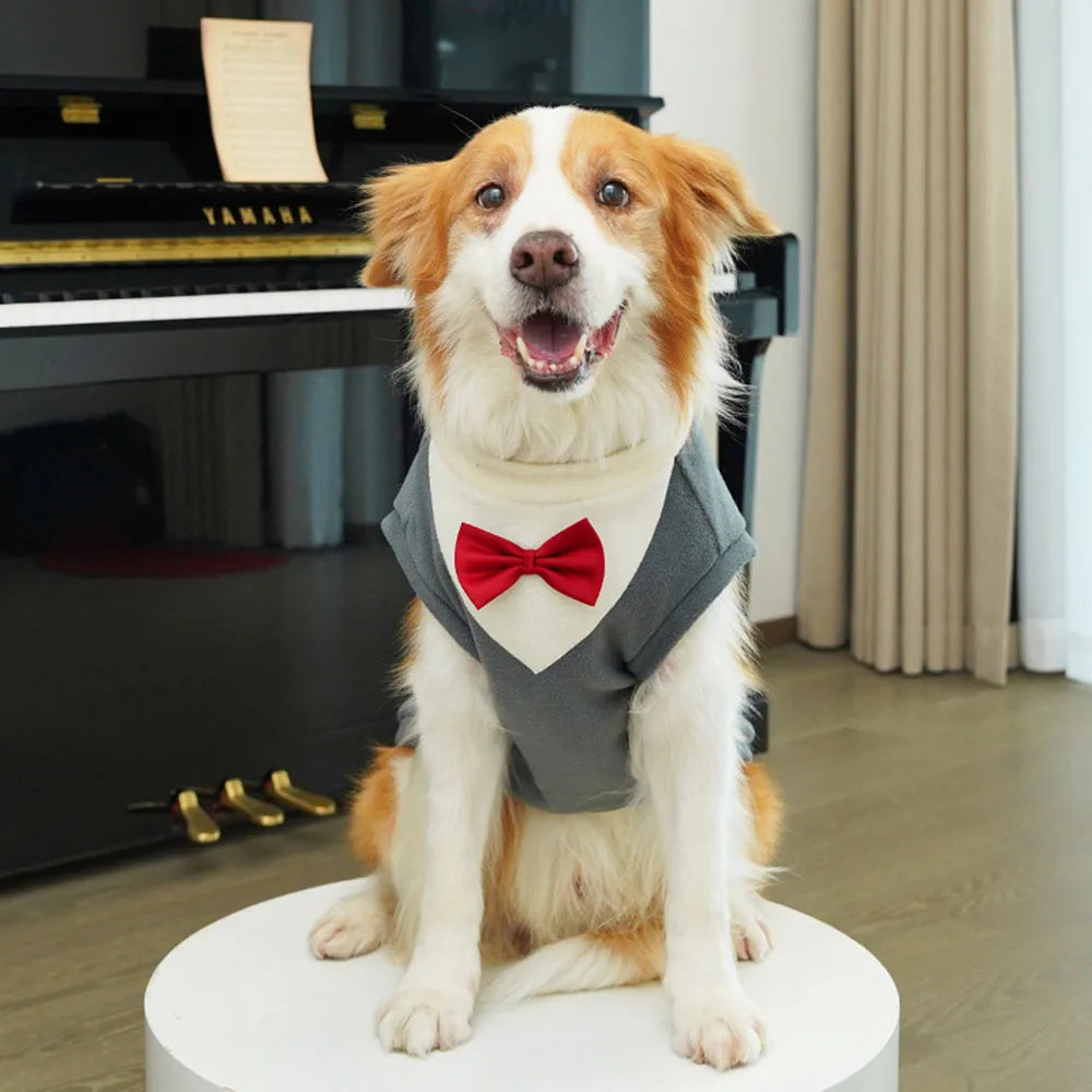A dog wearing a warm fleece tuxedo costume with a red bow tie, sitting on a white surface.