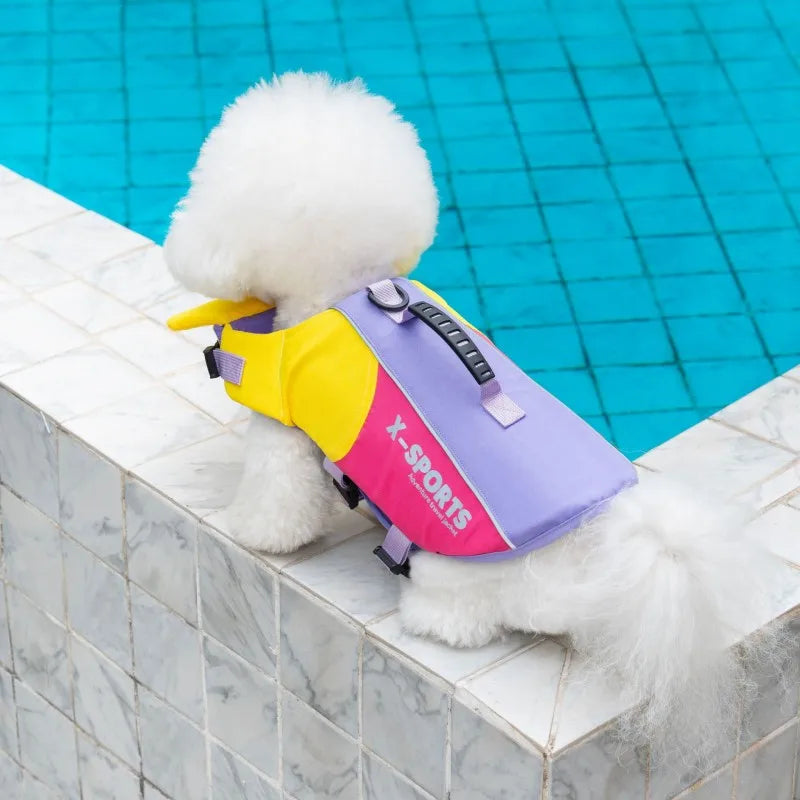 A fluffy white dog wearing a yellow and purple life jacket near a blue swimming pool.