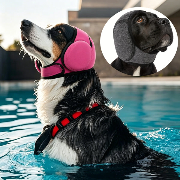 A black and white dog is wearing a pink ear muff while swimming in blue water.