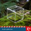 Caja de araña de acrílico transparente sobre suelo musgoso con pequeñas arañas dentro.