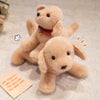 A fluffy golden retriever plush dog toy lying on a light-colored carpet with a credit card visible nearby.