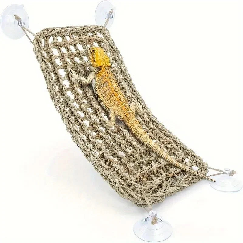 Ein Bartdrache ruht in einer geflochtenen Naturfas-Hängematte für Reptilien.