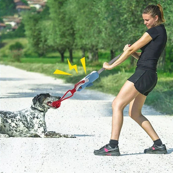 A woman is playing with an interactive tug of war rope toy for a dog outdoors.