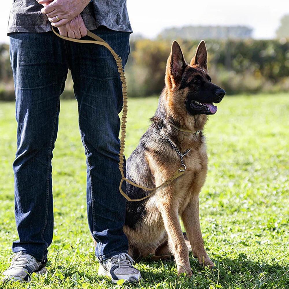 A German Shepherd dog sitting next to a person, holding a heavy-duty tactical leash.