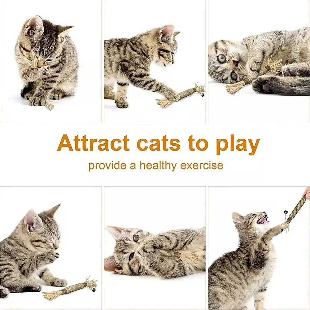 A set of natural silver vine cat chew toys for dental health, shown as various textured and sized toys.