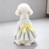 Flauschiger weißer Hund in einem gelb-blauen gestreiften Sommerkleid mit Schleife.