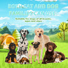 A group of dogs of various breeds and sizes are shown outdoors, suitable for both cat and dog families.