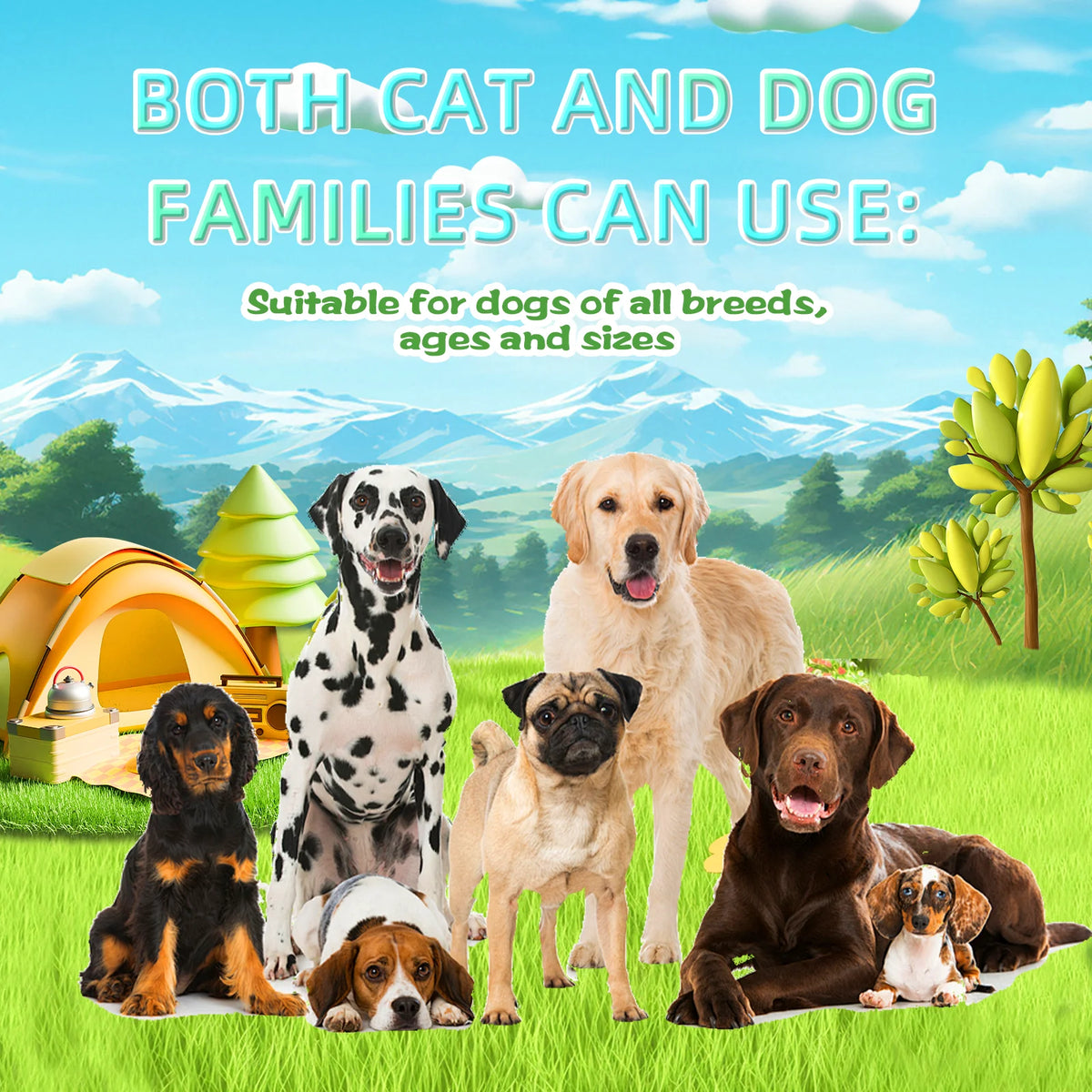 A group of dogs of various breeds and sizes are shown outdoors, suitable for both cat and dog families.