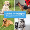 A collage showing a golden retriever, a German shepherd, a Labrador, and a tabby cat, demonstrating the suitability of a desh