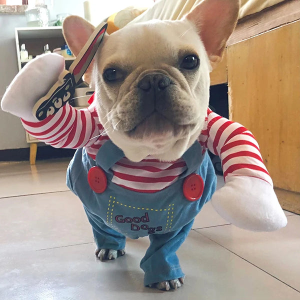 A light-colored dog wearing a blue costume with red polka dots and striped shirt, posing for a photo.