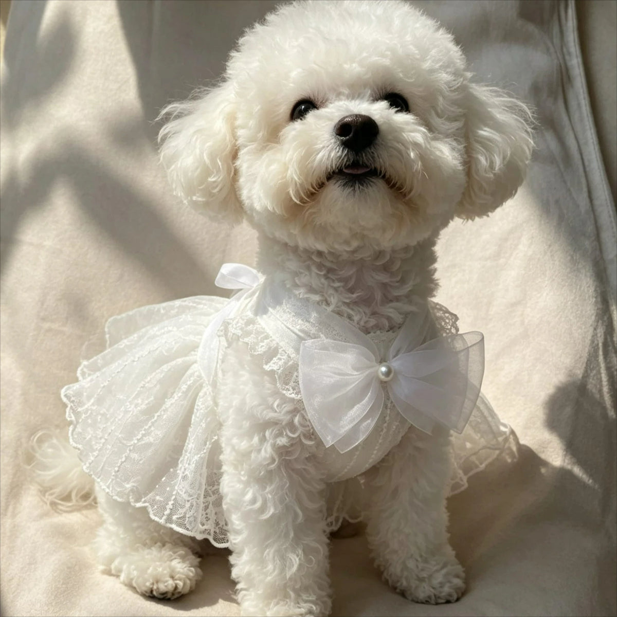 A fluffy white dog wearing an elegant white dress with lace and a bow.