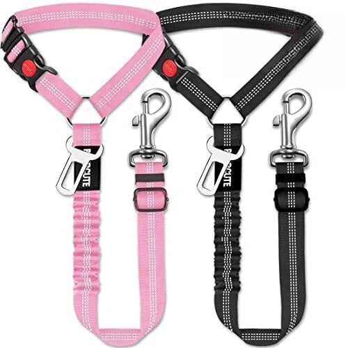 A pink and black automatic retractable dog leash with a buckle attached to the handle.