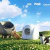 A white automatic litter box sits on green grass with a cat nearby.