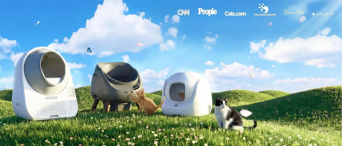 A white automatic litter box sits on green grass with a cat nearby.