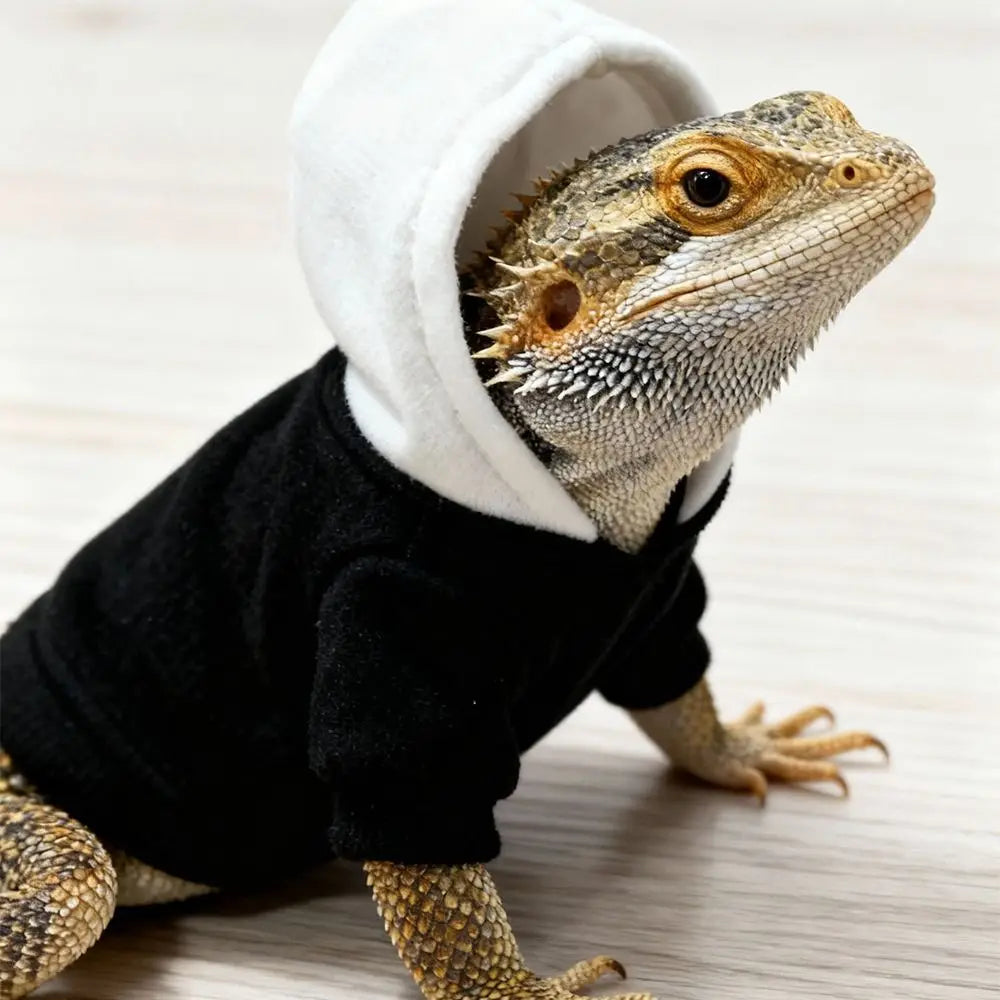 A bearded dragon wearing a black hoodie and a textured skin covering.