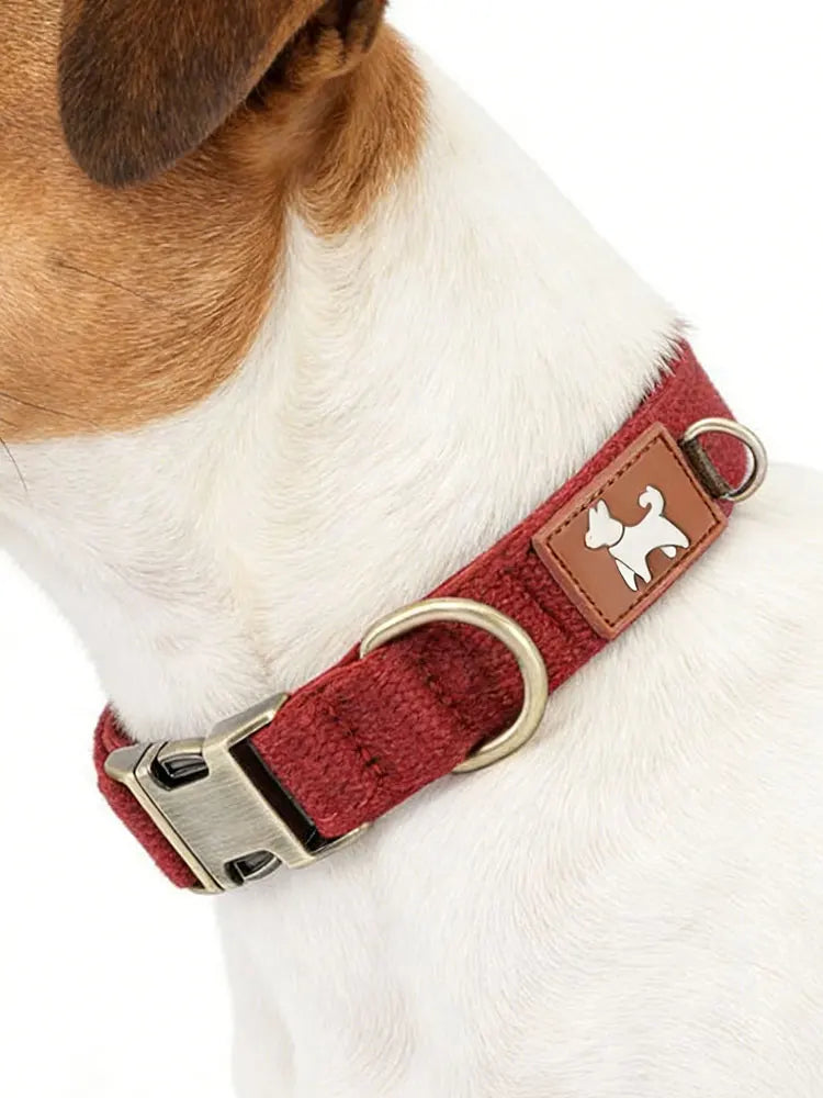A close-up of a maroon dog collar with a tan silhouette tag on a white dog's neck.