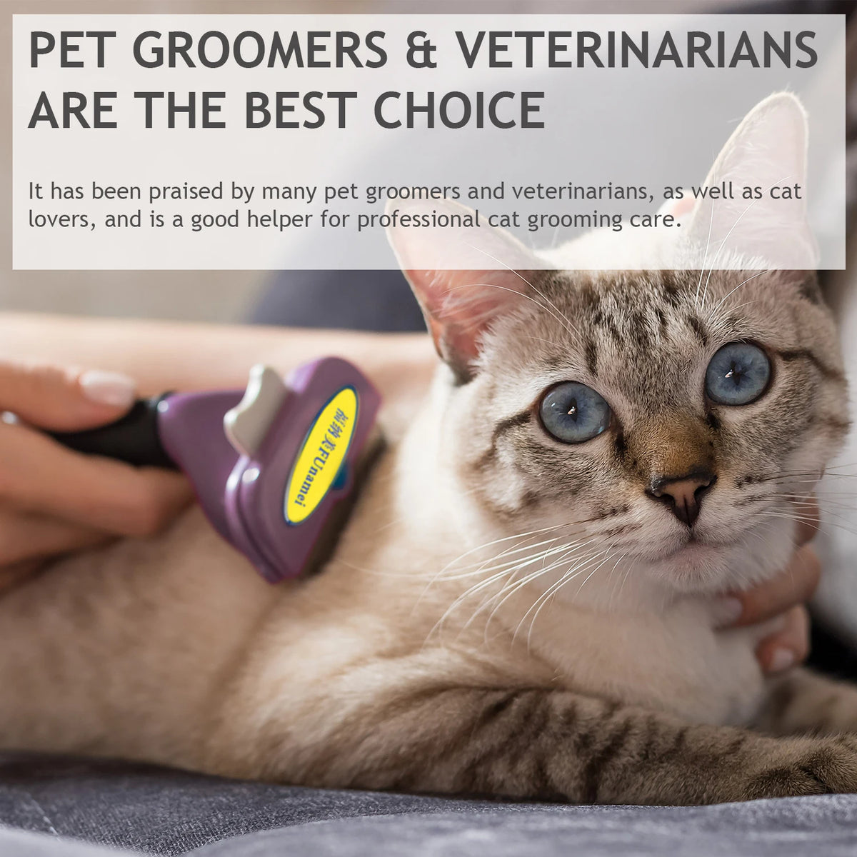 A tabby cat is being groomed by a person using a purple pet deshedding brush.