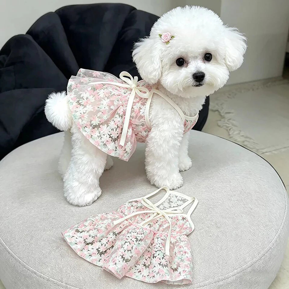 A fluffy white dog wearing a pink floral princess style anti-shedding dress.