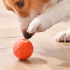 Ein Hundsnas senkt sanft seine Nase auf einen orangen Spielball auf einem Holzfußboden.