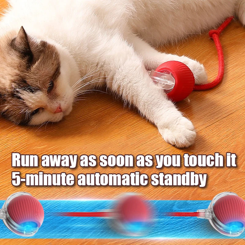 A white cat is lying on a wooden floor next to a red toy with a clear ball and a fake tail.