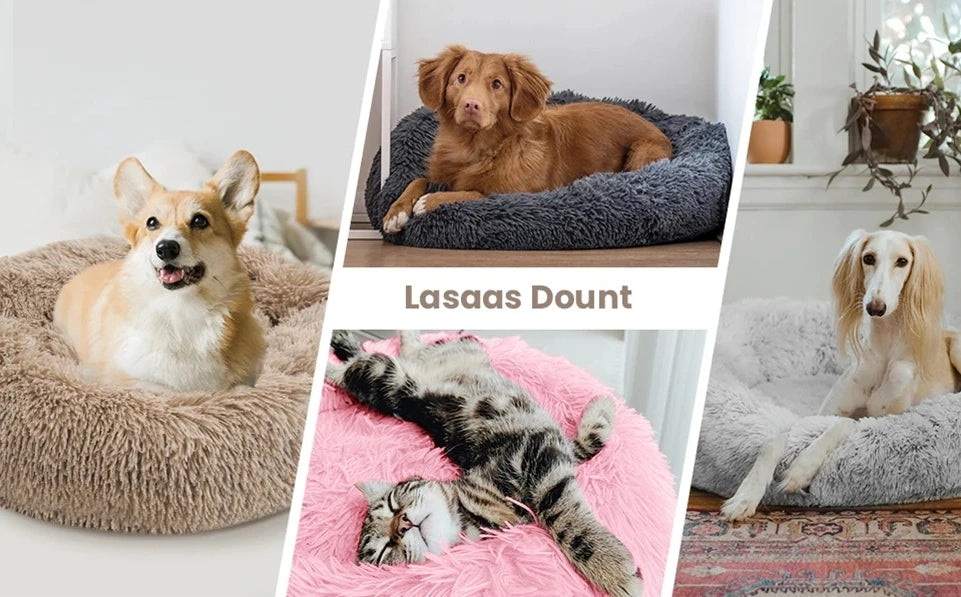 A collage showing a dog, a cat, and a lion-like pet resting on ultra-soft plush beds.