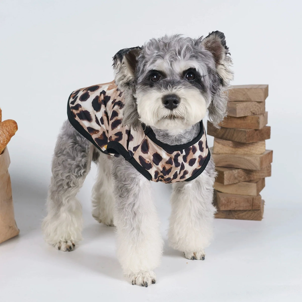 A fluffy gray dog wearing a leopard print pet vest standing next to a stack of wooden blocks.