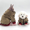 A small gray cat and a white dog wearing matching patterned outerwear.