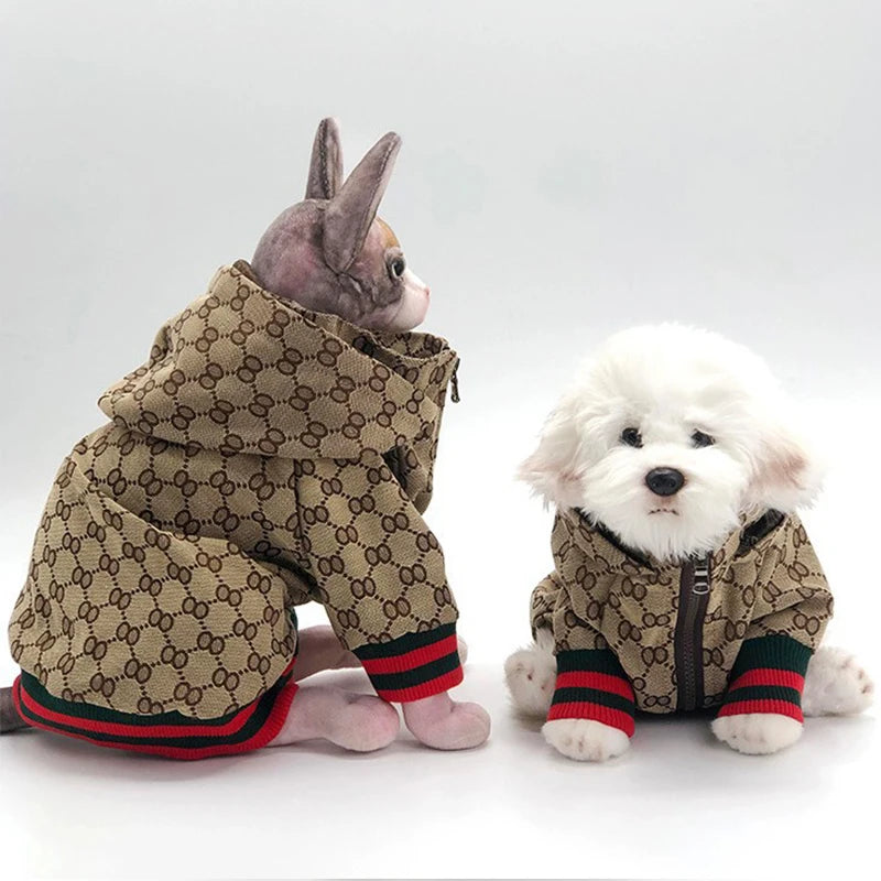 A small gray cat and a white dog wearing matching patterned outerwear.