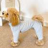 A golden retriever wearing a light gray soft stretch dog pajama jumpsuit sitting on a carpet.