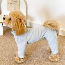 A golden retriever wearing a light gray soft stretch dog pajama jumpsuit sitting on a carpet.