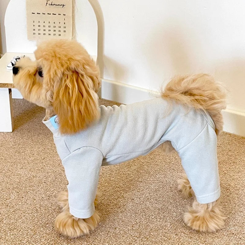 A golden retriever wearing a light gray soft stretch dog pajama jumpsuit sitting on a carpet.