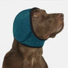 A brown dog wearing a teal noise reduction earmuff with black trim.