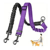 Purple and black dual dog leash attachment with shock-absorbing bungee shown next to a small dog.