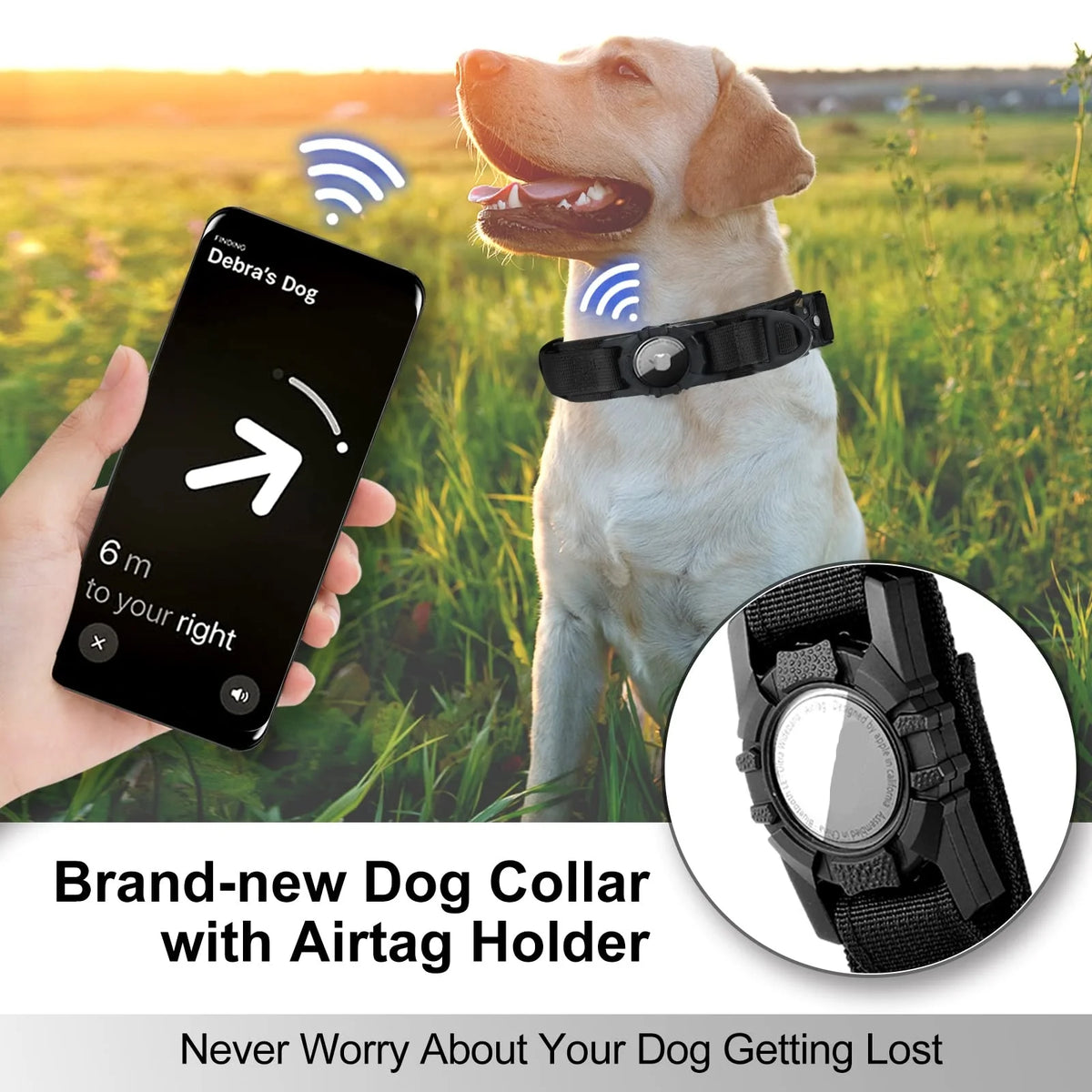 A golden dog wearing a black tactical GPS collar with an AirTag holder, next to a hand holding a smartphone displaying locati