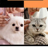 Ein weißer Hund und eine graue Katze neben Händen, die Reinigungstücher für Tieraugen und Ohren zeigen.
