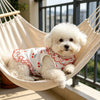 A fluffy white dog wearing a red cherry ruffle dress relaxing in a woven hammock.