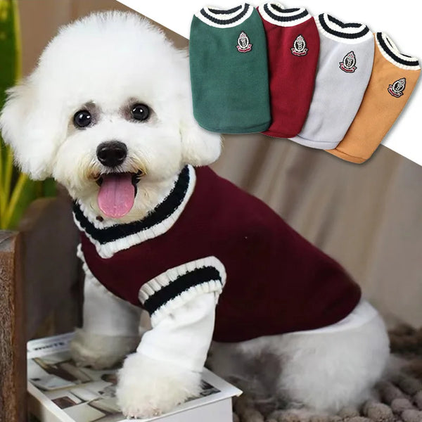 A white poodle wearing a maroon knit vest with black trim, shown alongside various colored vests.