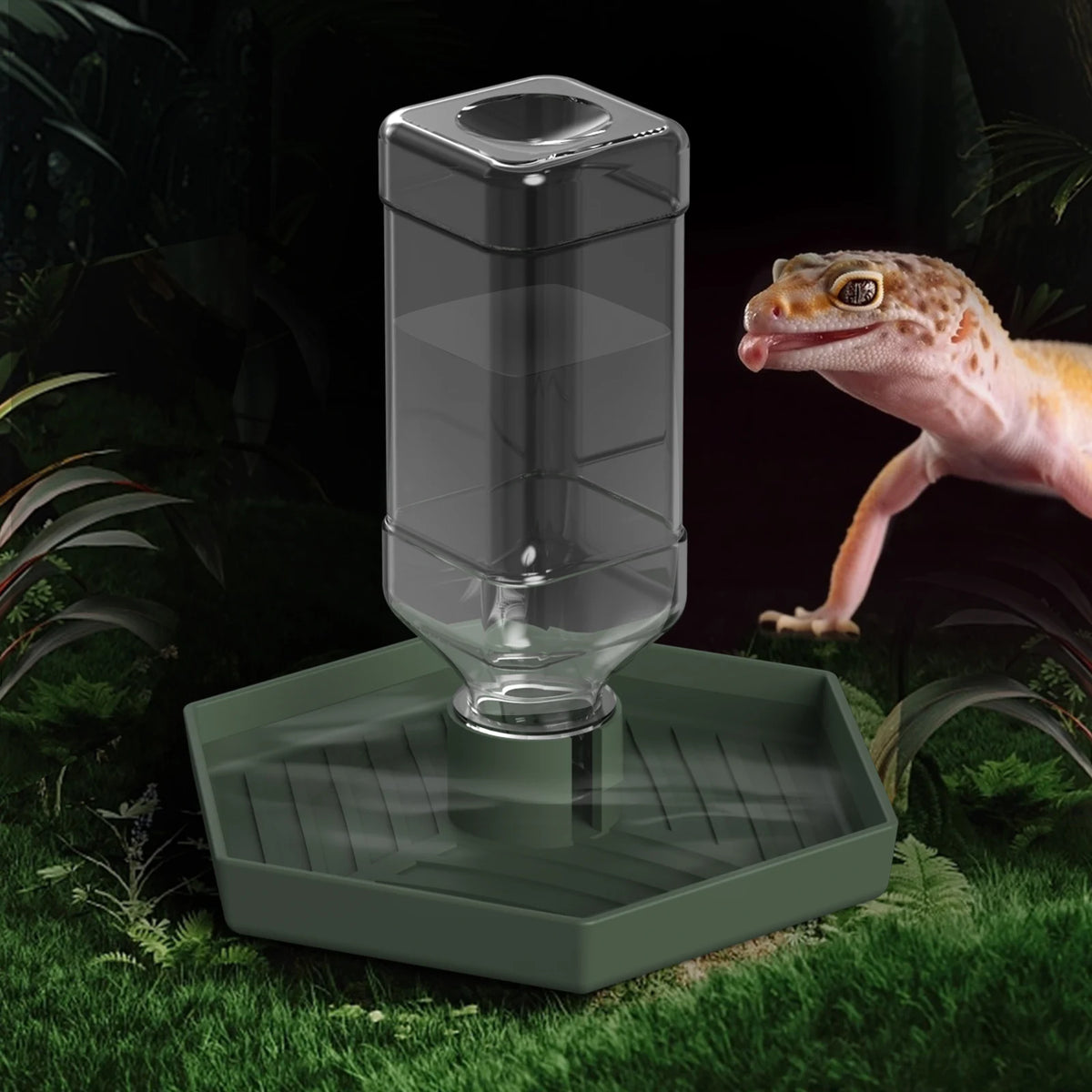 A clear water dish for a bearded dragon or tortoise is placed on a green tray in a natural, leafy environment.