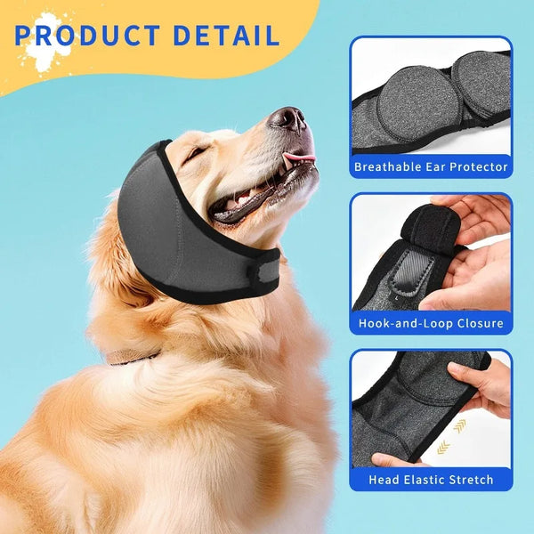 A golden retriever wearing a black breathable ear protector with a hook-and-loop closure and elastic stretch.