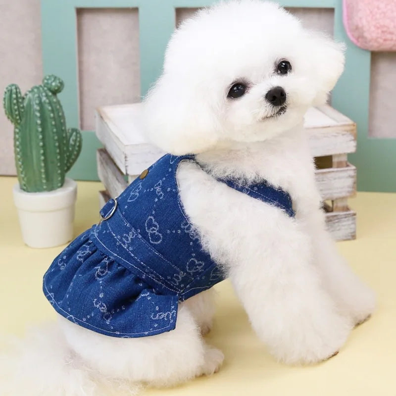 A fluffy white dog wearing a denim dress harness with a D-ring, sitting on a light surface.