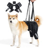 A light-colored dog is wearing a black heavy duty harness with support straps on its rear legs.