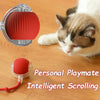 Intelligentes Scrollspielzeug für Katzen mit rohem Silikon-Rollmechanismus.