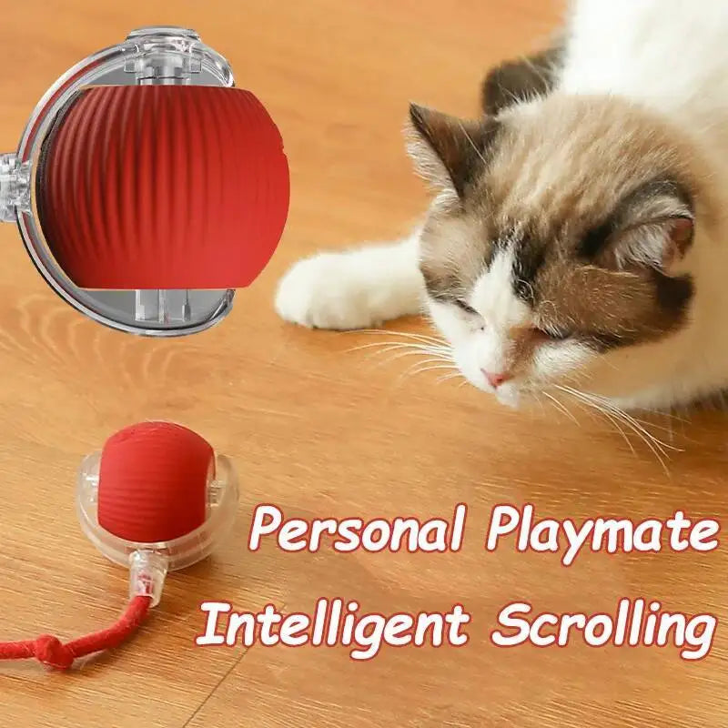 Intelligentes Scrollspielzeug für Katzen mit rohem Silikon-Rollmechanismus.