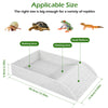 A white reptile habitat bath bowl with a ramp and climbing area shown next to various reptiles.