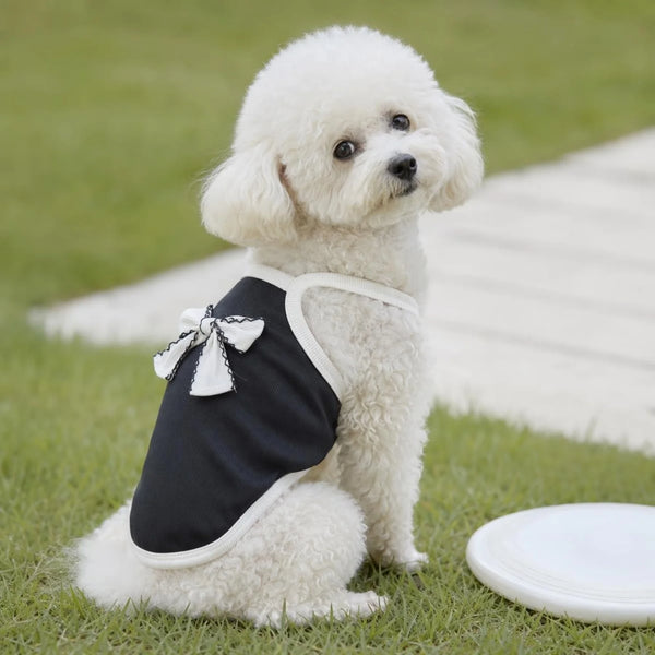 A fluffy white dog wearing a black pet vest with a white bow knot, sitting on green grass.