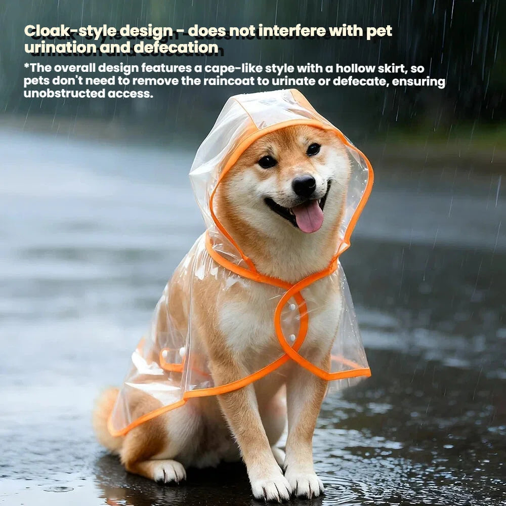 Un chien de couleur dorée portant un imperméable transparent avec des bordures orange, debout sous la pluie.