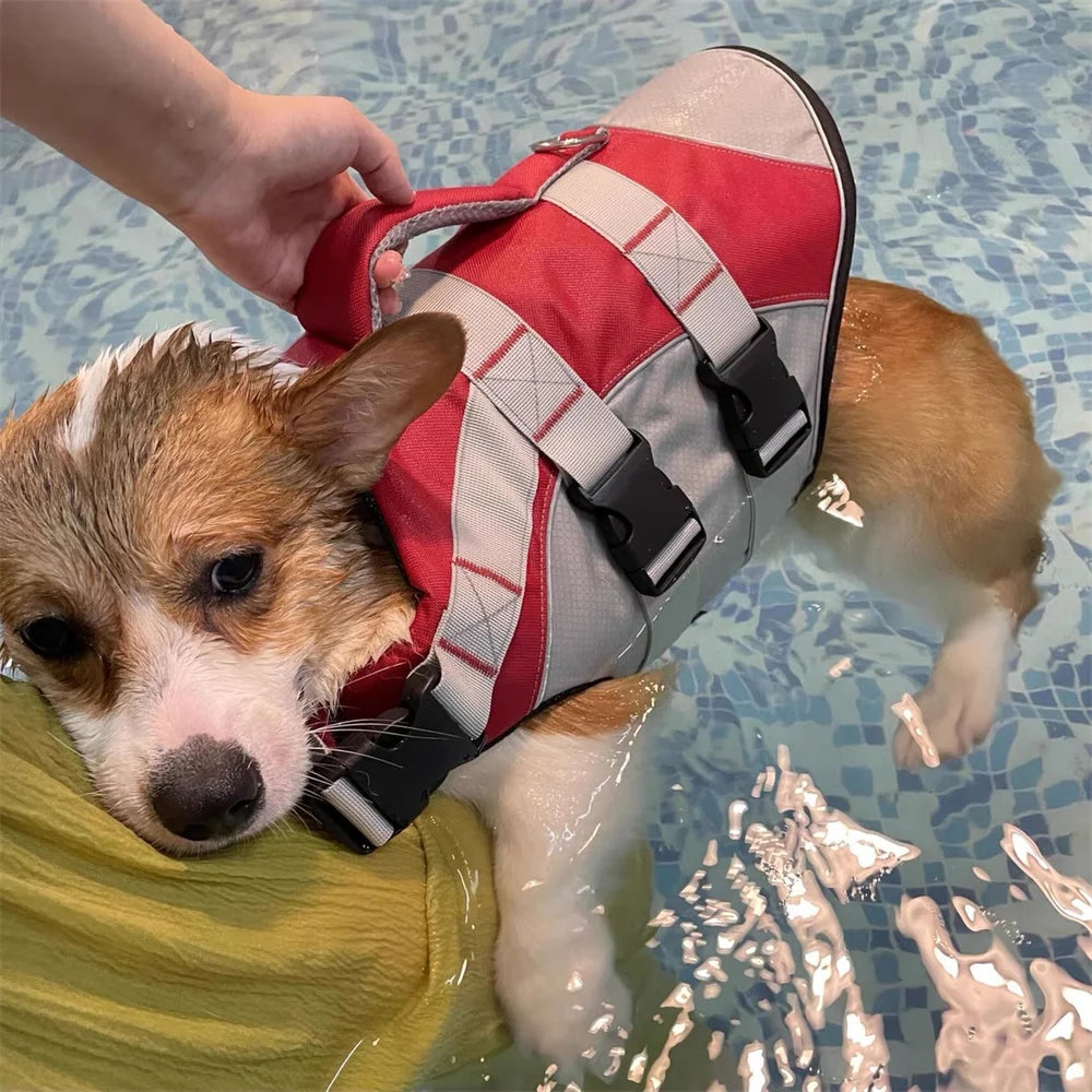 A small dog is wearing a red and gray reflective summer life jacket while being held by a person.