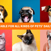A collage of various pets including a dog, a pug, and cats, demonstrating suitability for daily pet care.