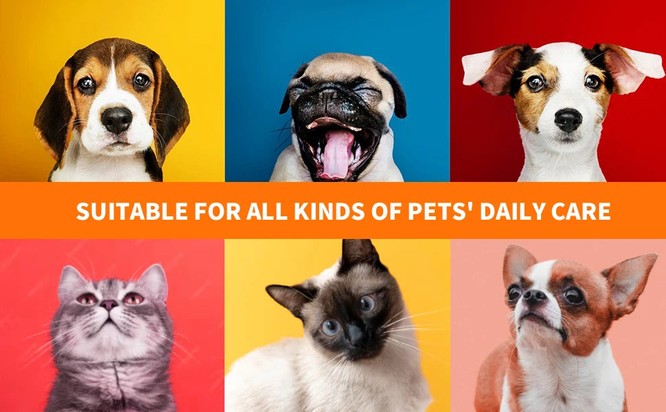 A collage of various pets including a dog, a pug, and cats, demonstrating suitability for daily pet care.
